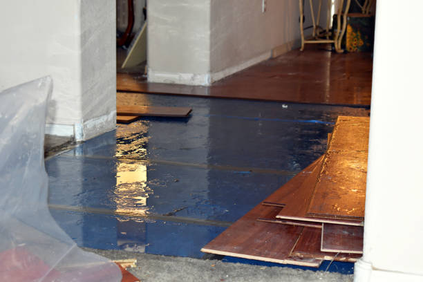 Professional Basement Water Removal technician working in Westminster, TX
