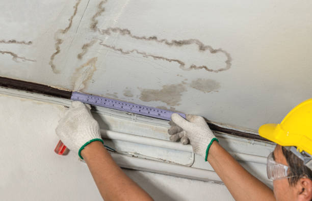 Reliable Basement Water Removal contractor in Westminster, TX by Water Damage Irwin